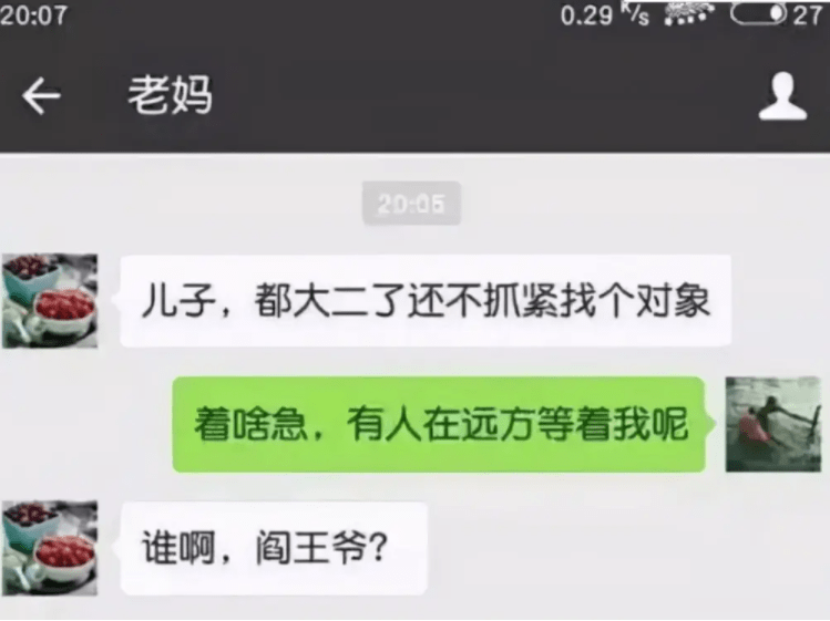 和妈妈聊天记录网络用语的简单介绍