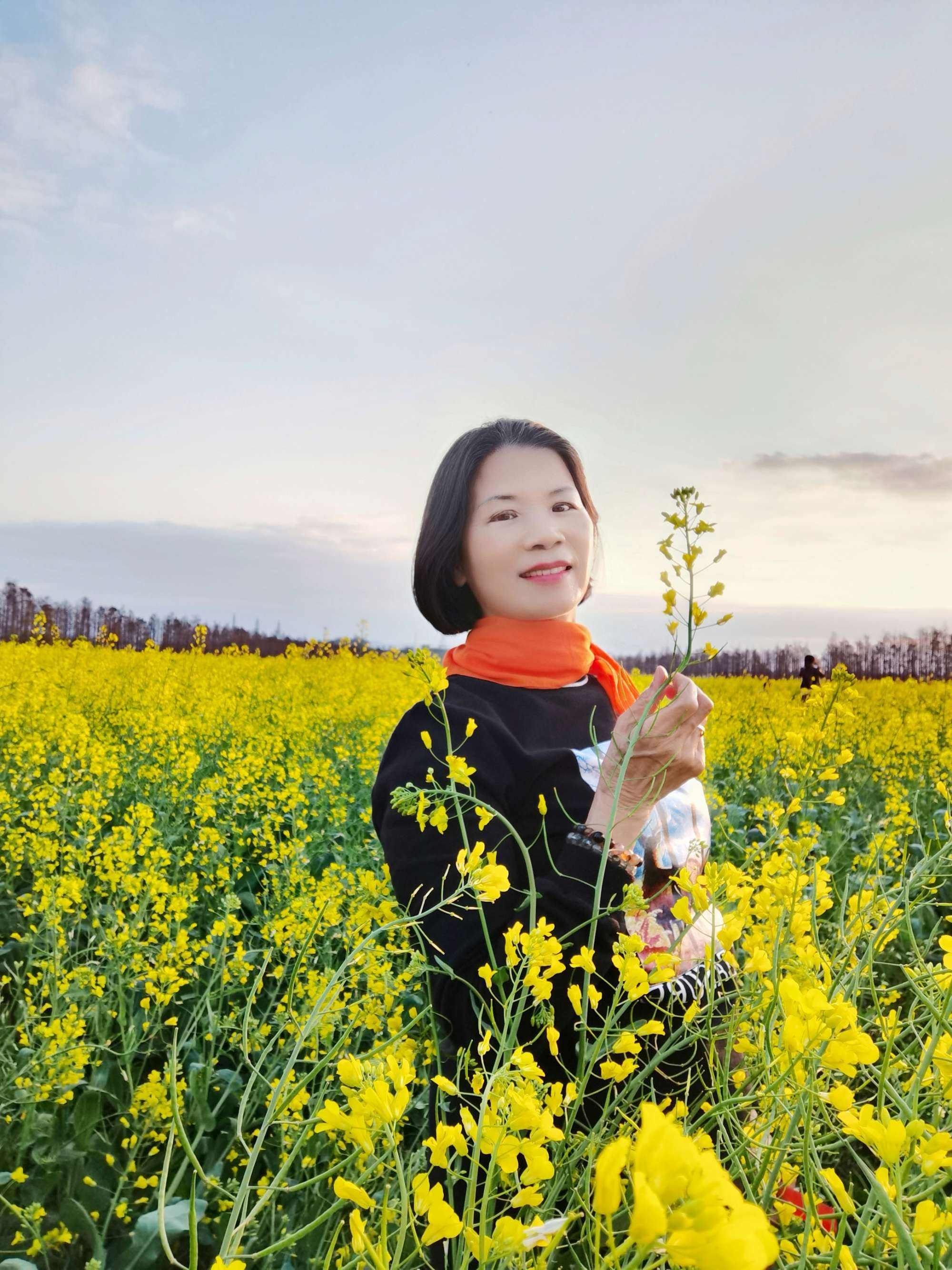 吹暖花开奔你而来聊天记录的简单介绍