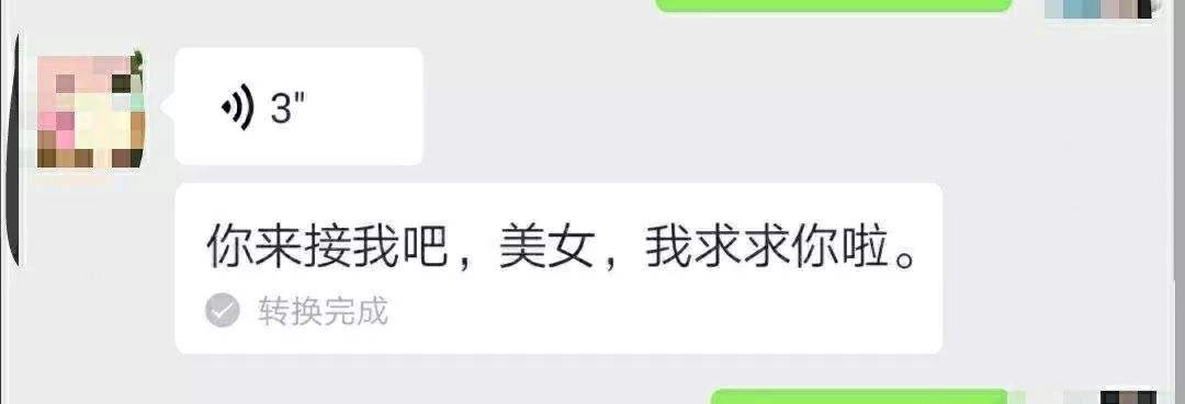 关于对不起宝贝白熊聊天记录的信息