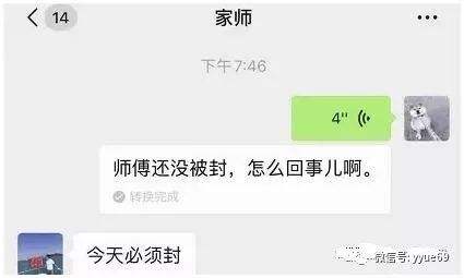 关于鸽宝聊天记录全集的信息