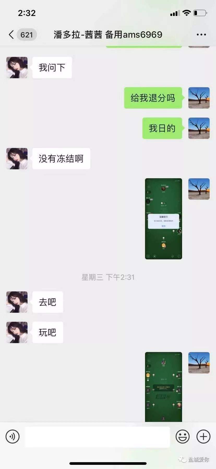 关于杀猪全篇聊天记录的信息