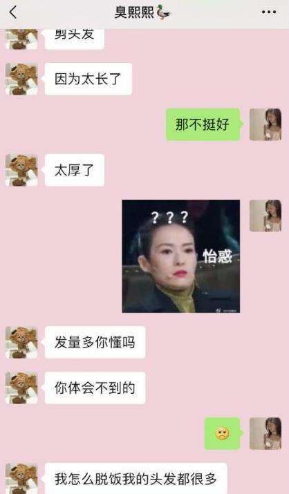 夫人聊天记录表情包(参见老婆大人表情包原图)