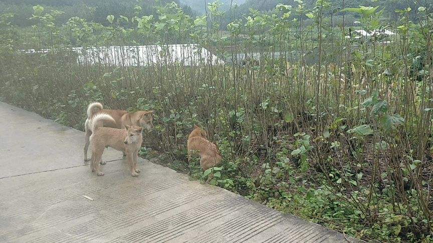 只饮烈酒不谈过往聊天记录(从今以后只饮烈酒不谈过往图片)