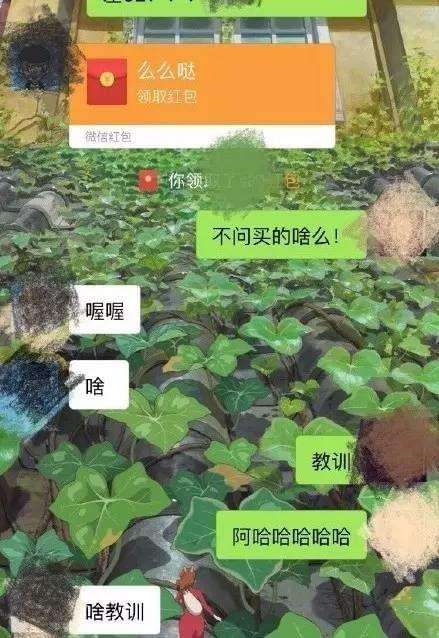 聊天记录学姐喜欢你啊(怎么与自己喜欢的学姐聊天)