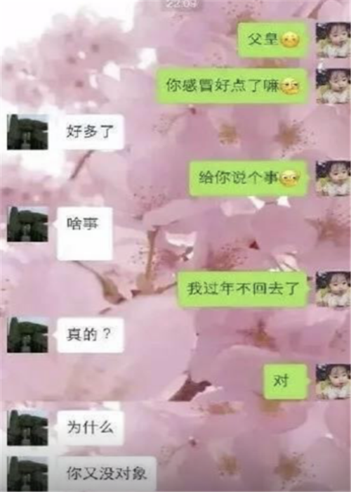 给女朋友发100元的聊天记录的简单介绍