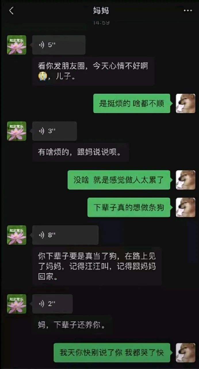 母亲节聊天记录截图(和妈妈的通话记录截图)