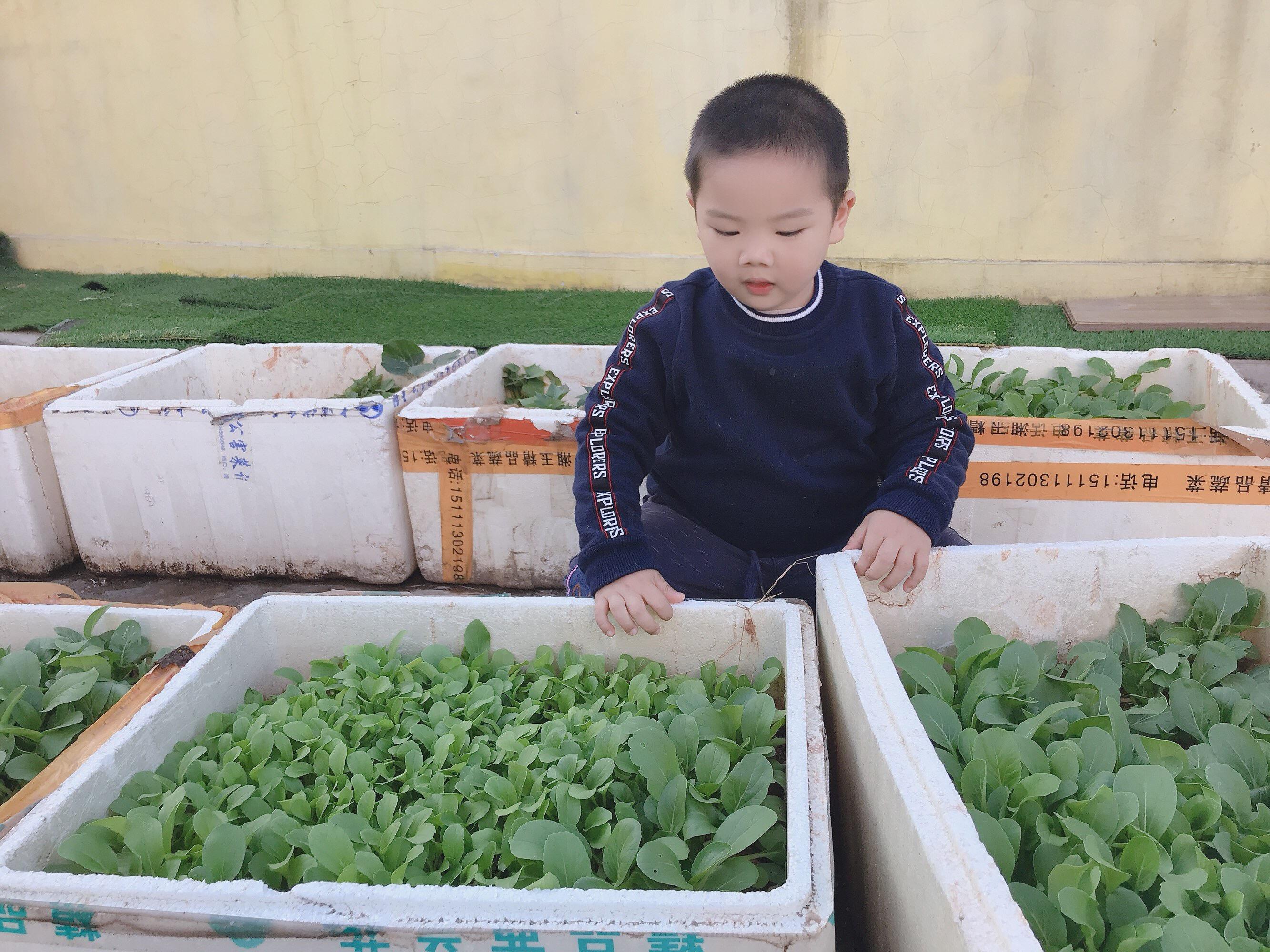 关于风流教师的聊天记录的信息