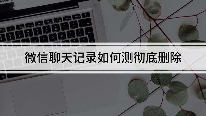 可以检测微信聊天记录吗(可以检测别人的微信聊天记录吗)