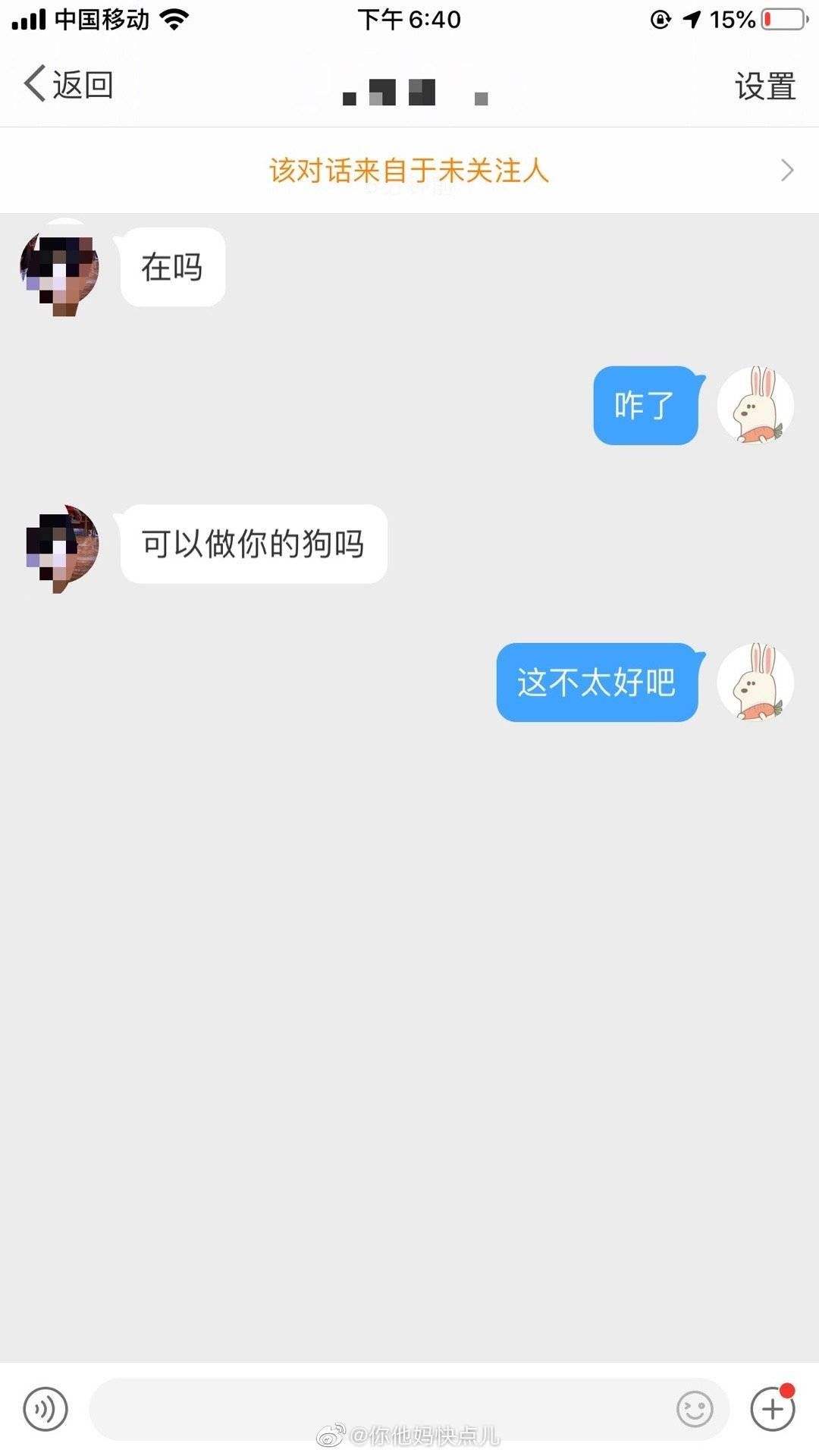 关于爱狗狗狗狗爱聊天记录截图的信息