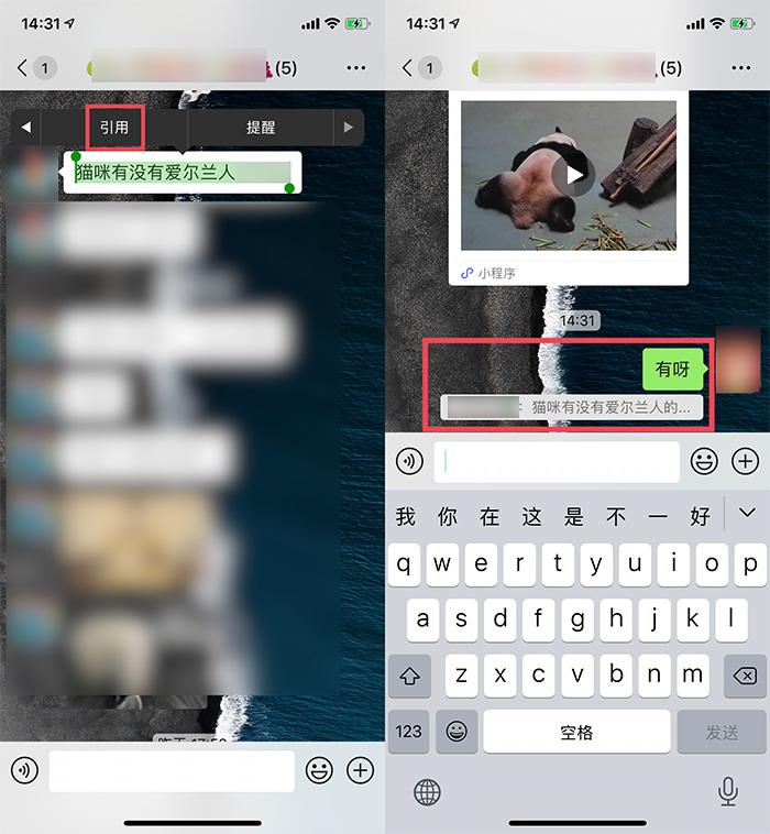 ios怎么分享微信聊天记录(iphone微信怎么分享聊天记录)