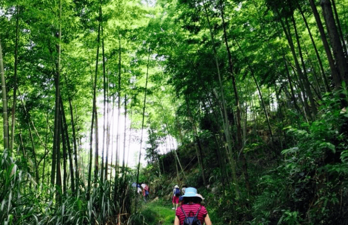 包含踏遍了山路唱山歌聊天记录的词条