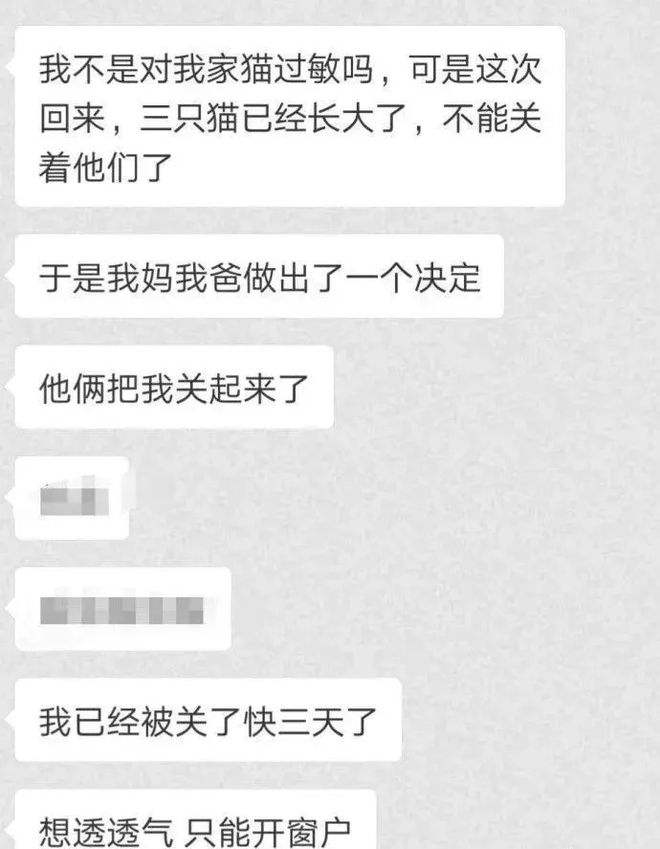 聊天记录变灰(聊天发灰是什么意思)