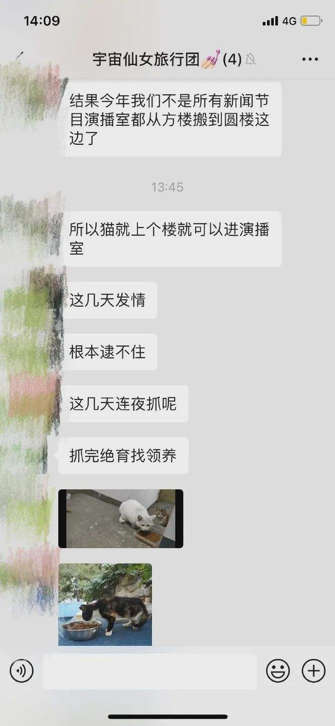 猫和主人聊天记录视频(家庭幽默录像猫咪说话视频)