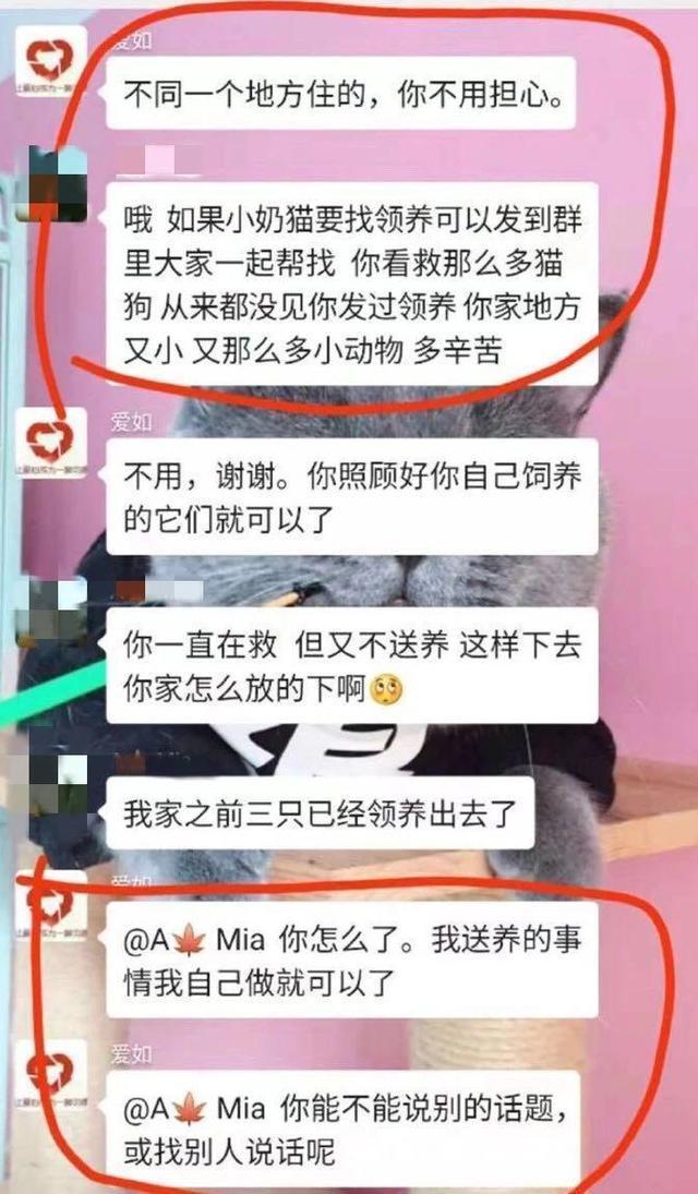 如何跟狗狗聊天记录的简单介绍