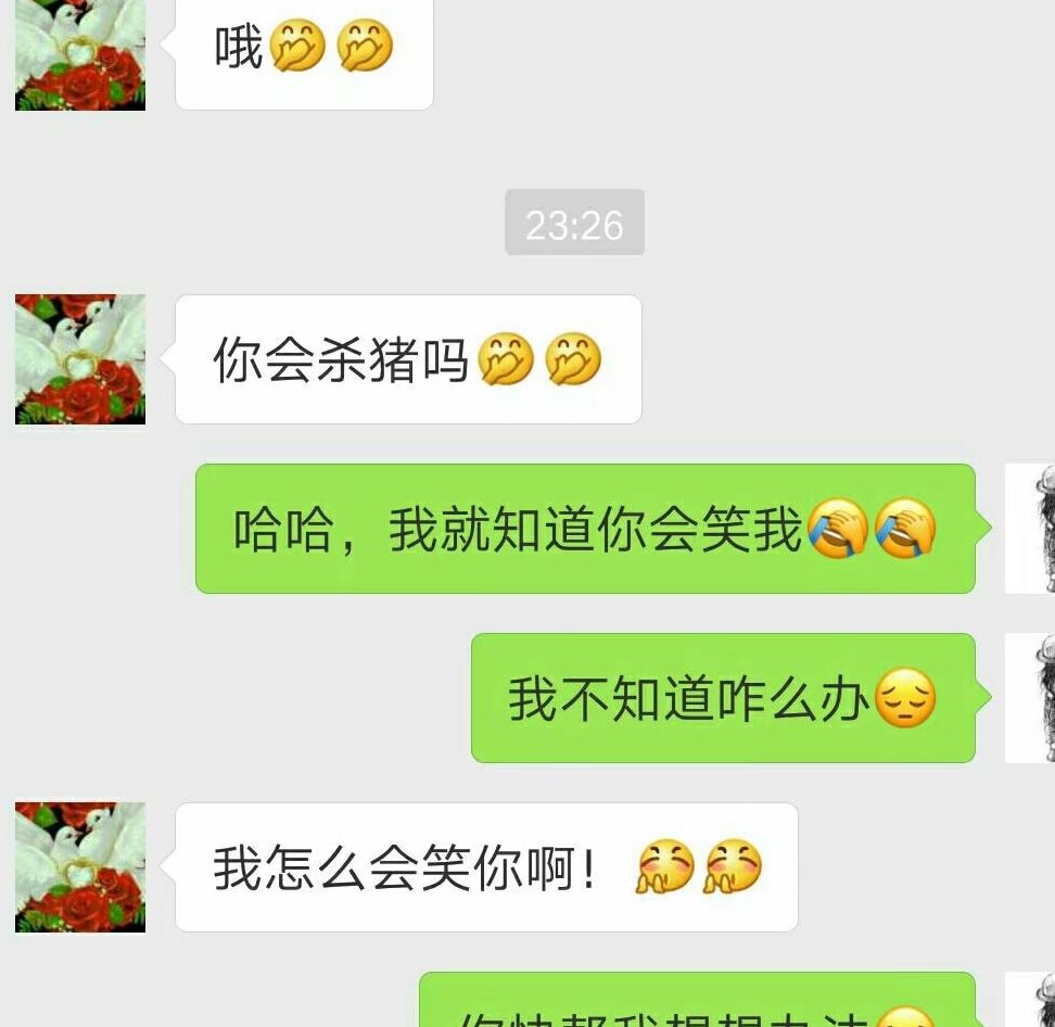 女生最开心的聊天记录(微信逗女生开心的聊天记录)