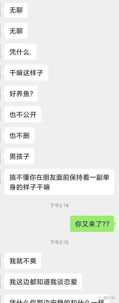 异性聊天记录怎么收藏(怎么收藏和别人的聊天记录)