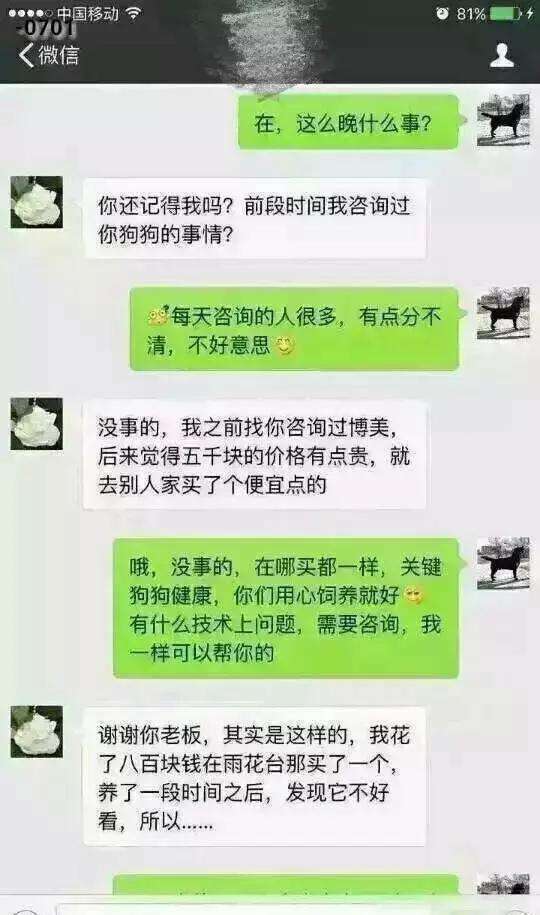 关于一个女的来找你聊天记录的信息