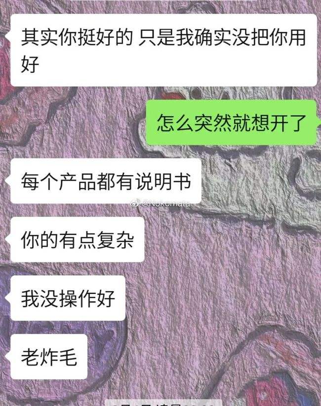 关于爱情最美的样子情侣聊天记录的信息