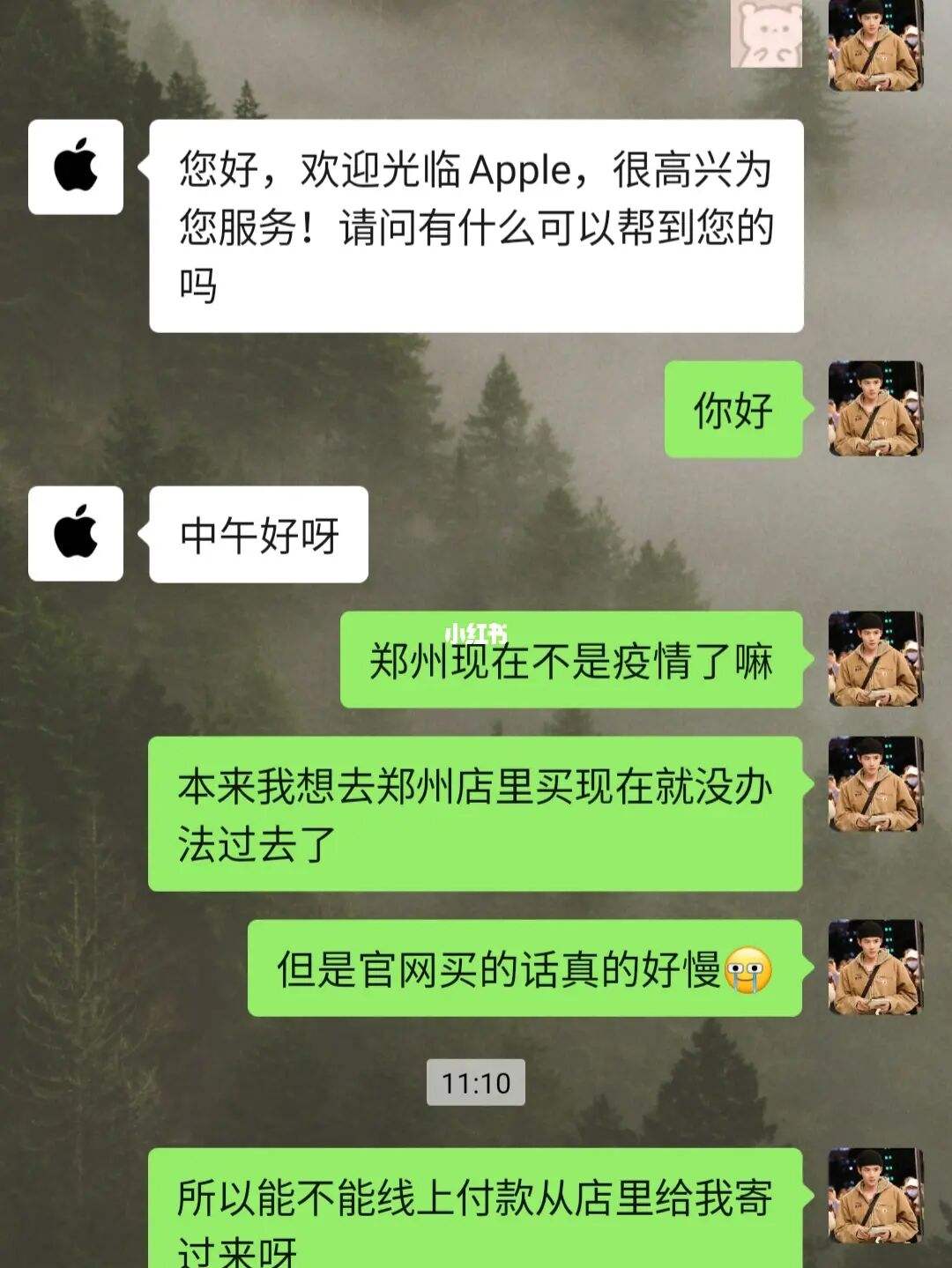 如何查找与苹果客服的聊天记录(apple支持怎么查看和客服聊天记录)