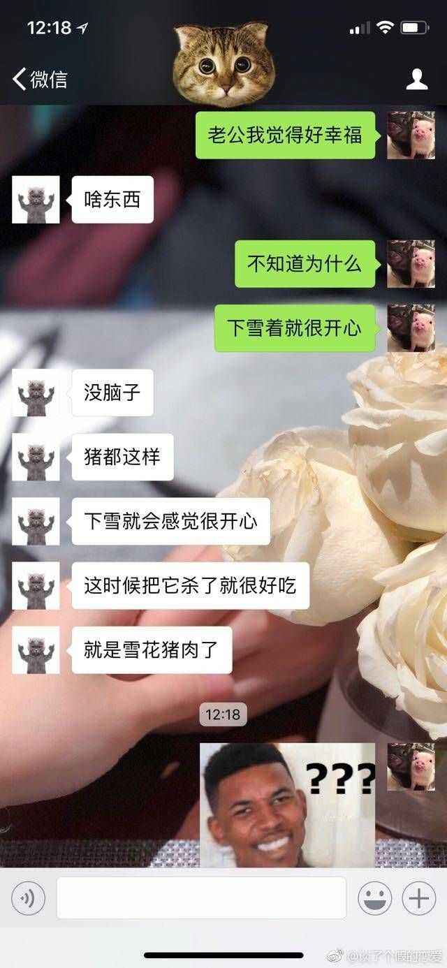 咱们能做一辈子的好朋友聊天记录的简单介绍