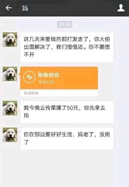 离职不舍的聊天记录(同事离职舍不得说说或心情)