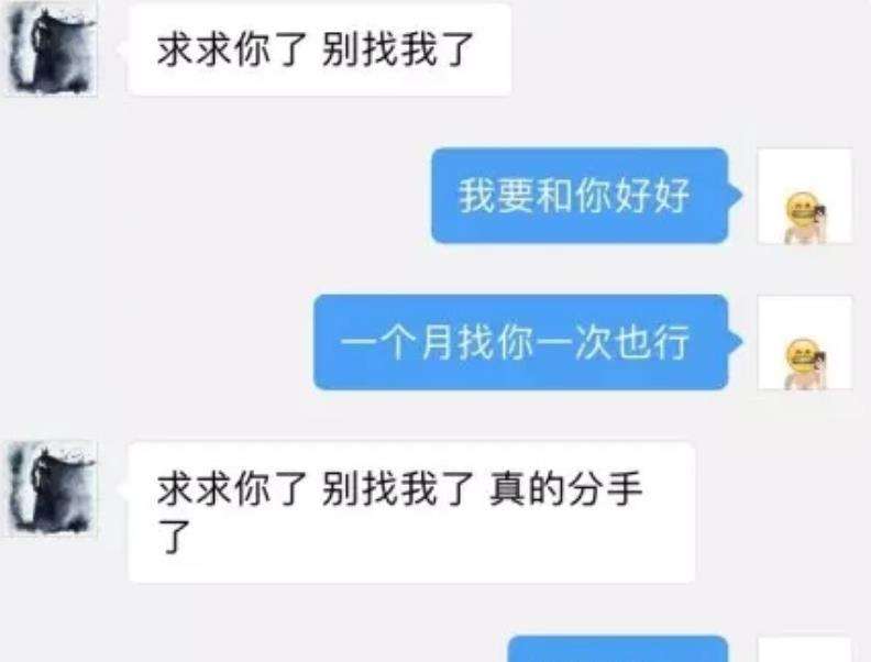 包含这就是最美的爱情聊天记录的词条