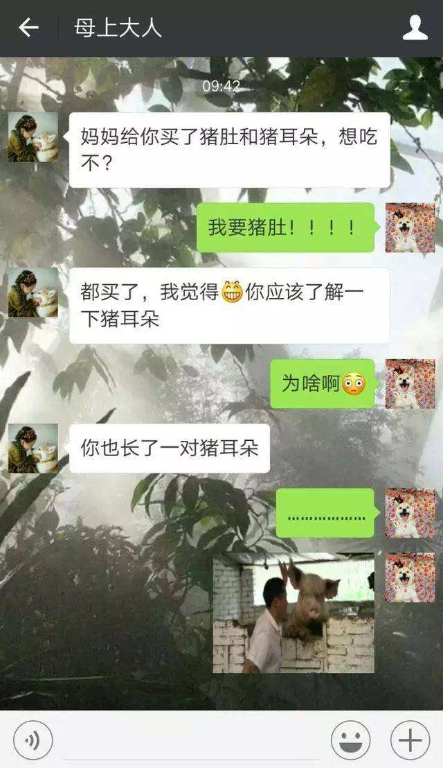 一对夫妻的聊天记录细思极恐的简单介绍