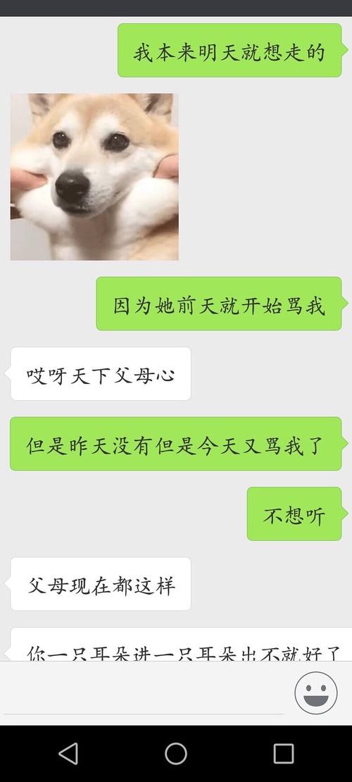 关于一只社会的鹅的聊天记录的信息