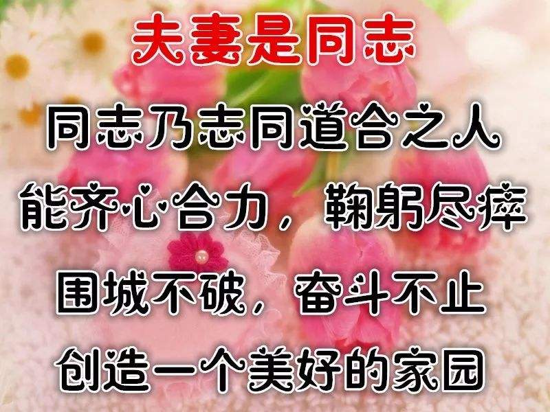 光头哥和老婆聊天记录(桂平光哥的老婆哪里去了)