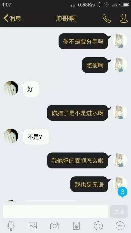 包含和女朋友的qq聊天记录截图的词条