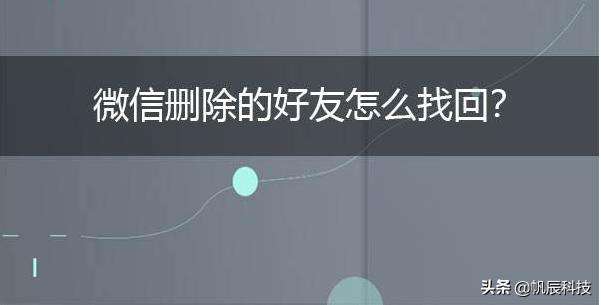 微信撤回黑名单后以前的聊天记录(微信从黑名单拉回来聊天记录还在吗)