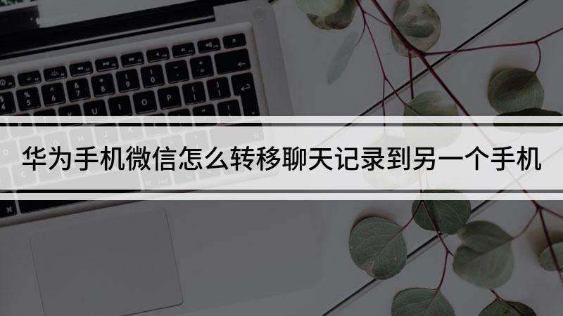 华为上的聊天记录可以传给苹果么(苹果手机的聊天记录可以导到华为吗)