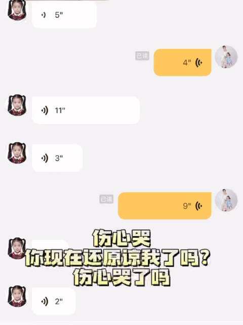 柠檬聊天记录视频教程的简单介绍