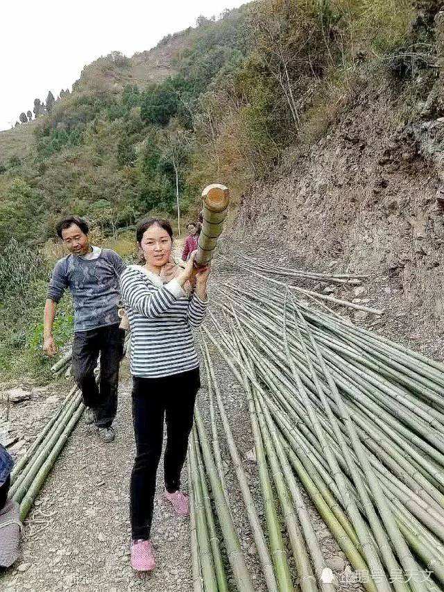 村官和女下属聊天记录的简单介绍