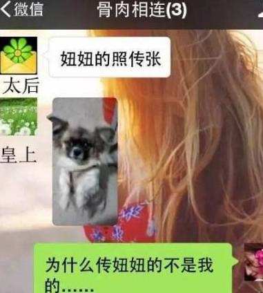 李汶翰刘维聊天记录运动会(李汶翰刘维参加的综艺节目是什么)