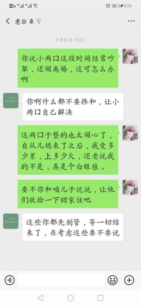 婆婆和儿子的聊天记录(婆婆和儿子的聊天记录适合发朋友圈吗)