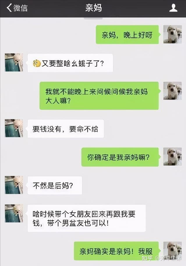 球球聊天记录怎么卖掉(球球聊天记录删了还能找回来吗)