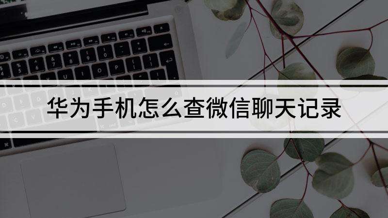 微信聊天记录可以查吗(可以查微信的聊天记录吗)