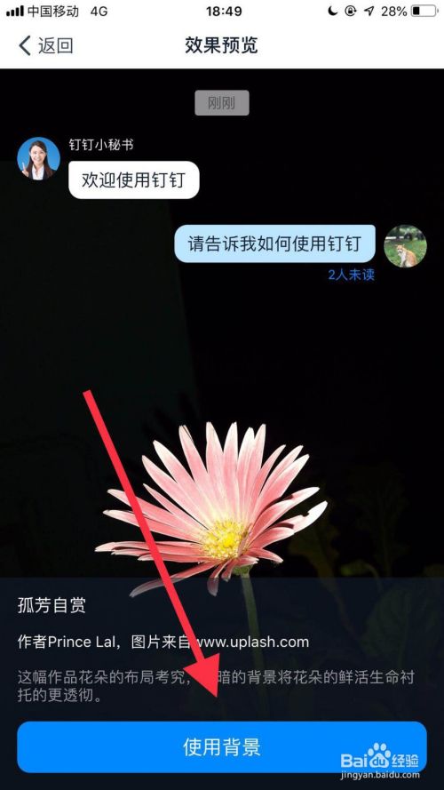 钉钉聊天记录如何能导出来吗(钉钉怎么导出聊天记录)