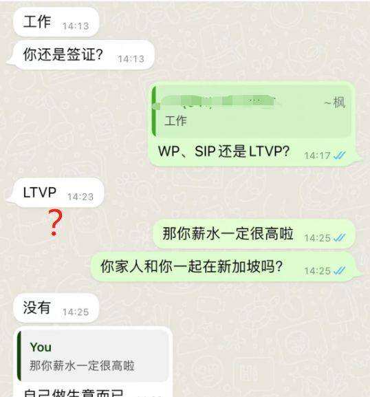 中国网聊天记录(网络聊天记录)