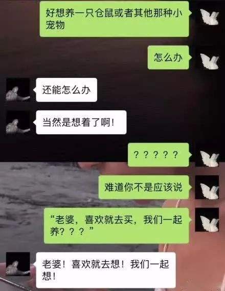 和对象聊天记录调皮的句子(无聊时给男朋友发的调皮语句)