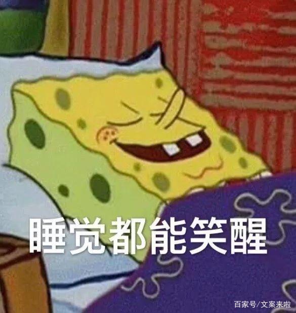 沙雕晚安搞笑聊天记录的简单介绍