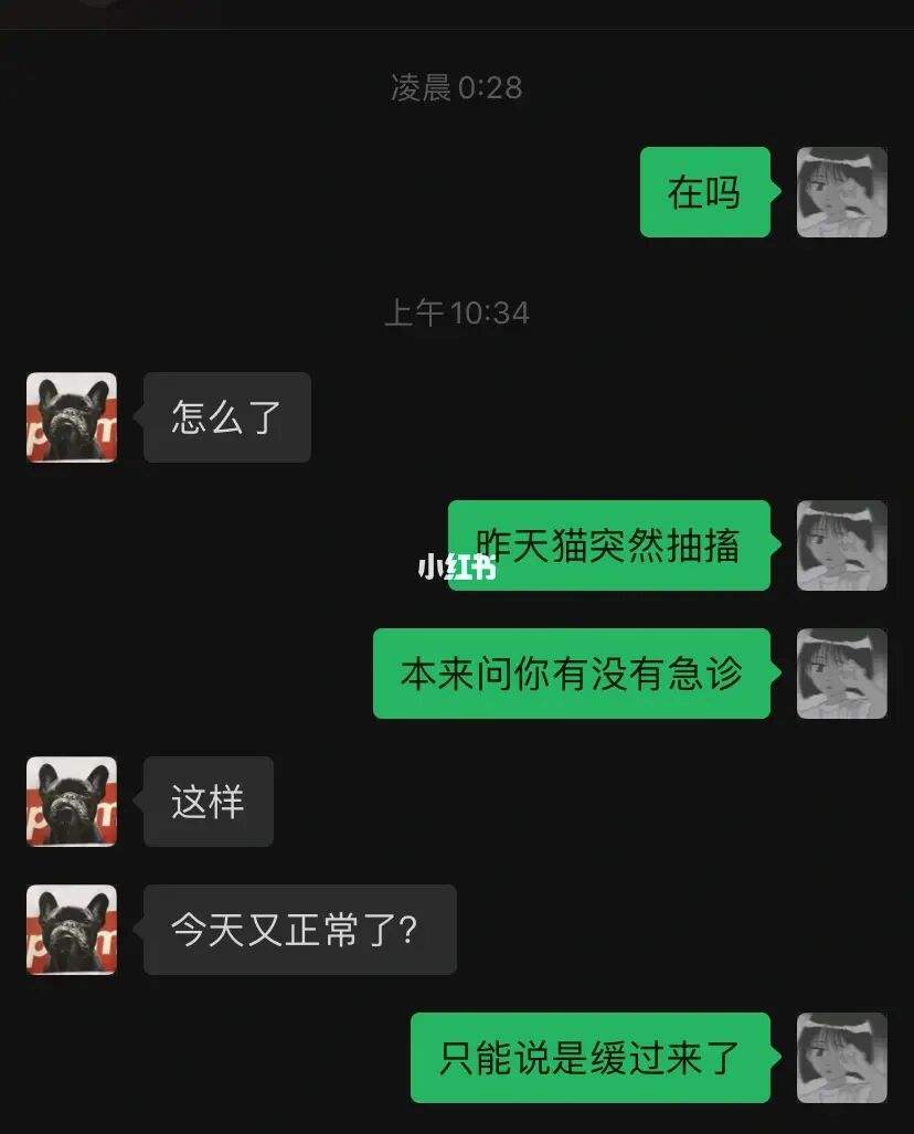 在线和医生聊天记录在哪找(百度上跟医生聊的记录从哪里找)