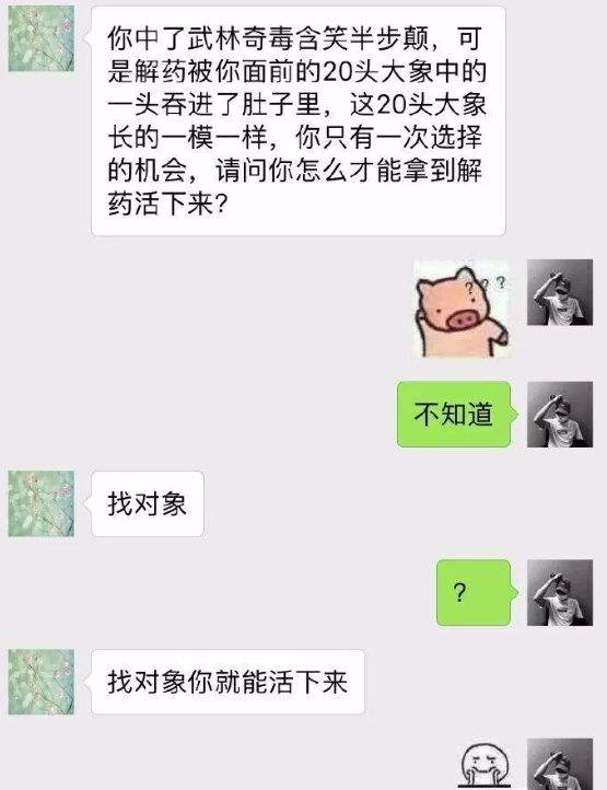 包含卖家聊天记录保证无事故的车的词条