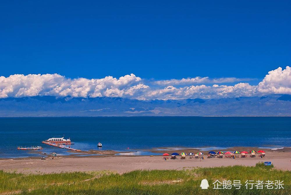 河对岸的老张聊天记录(老张的聊天记录是真的吗)