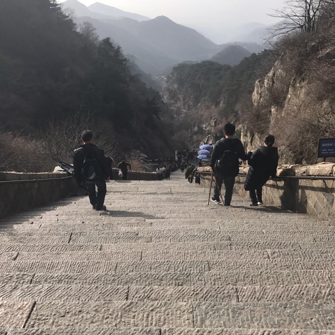 关于去泰山说走就走的旅行聊天记录的信息