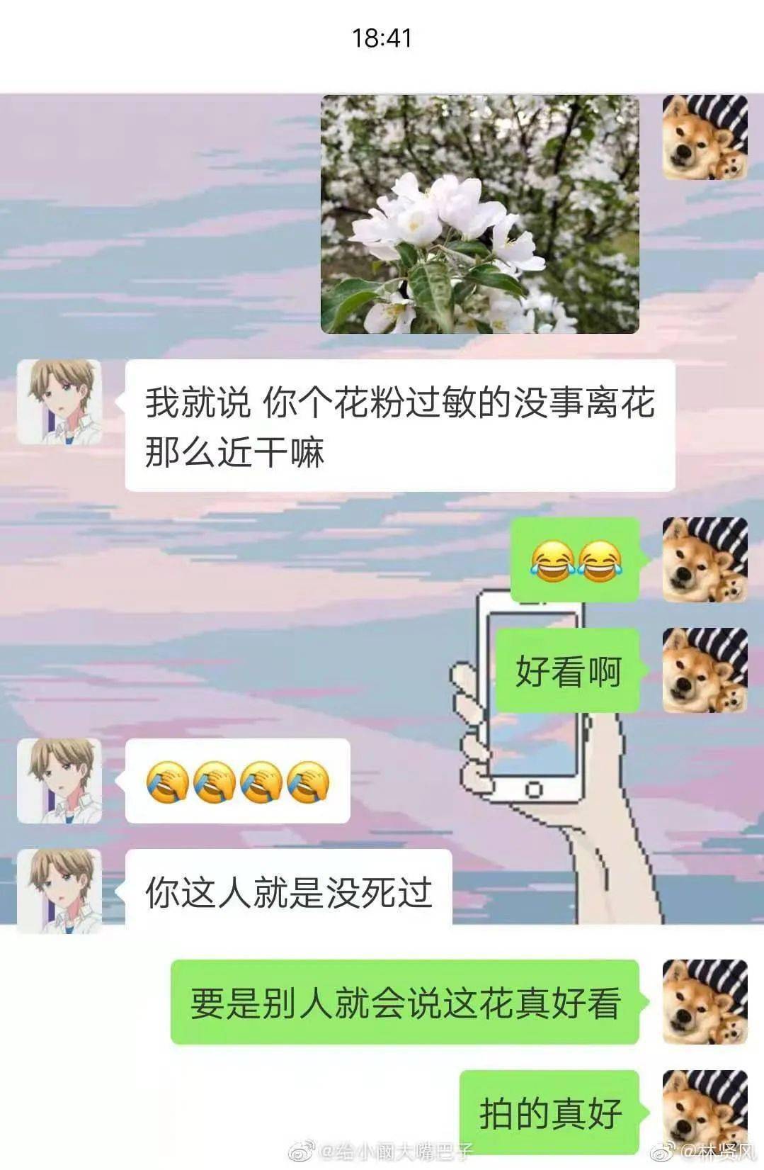 很丧的聊天记录卡点(比较丧的聊天记录对话)