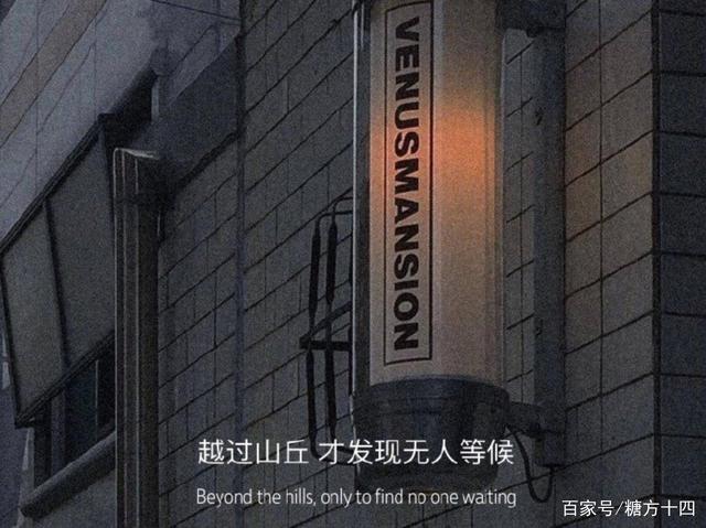 包含叶无忧的聊天记录的词条