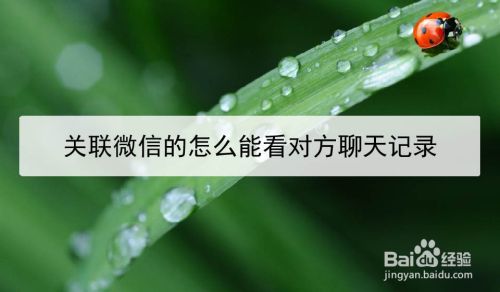 微信不用好友能查到聊天记录吗(微信不用好友能查到聊天记录吗怎么查)