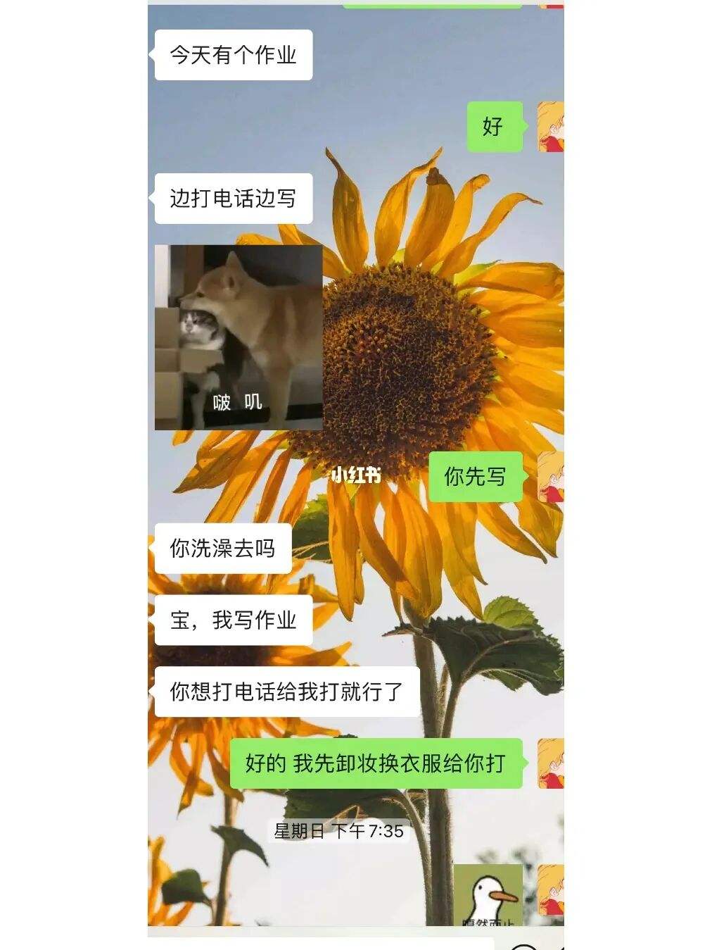 点点和哥哥的聊天记录(厦门点点追哥哥的日常聊天记录)